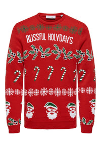 Only & Sons ONSXMAS REG 5 Strickpullover