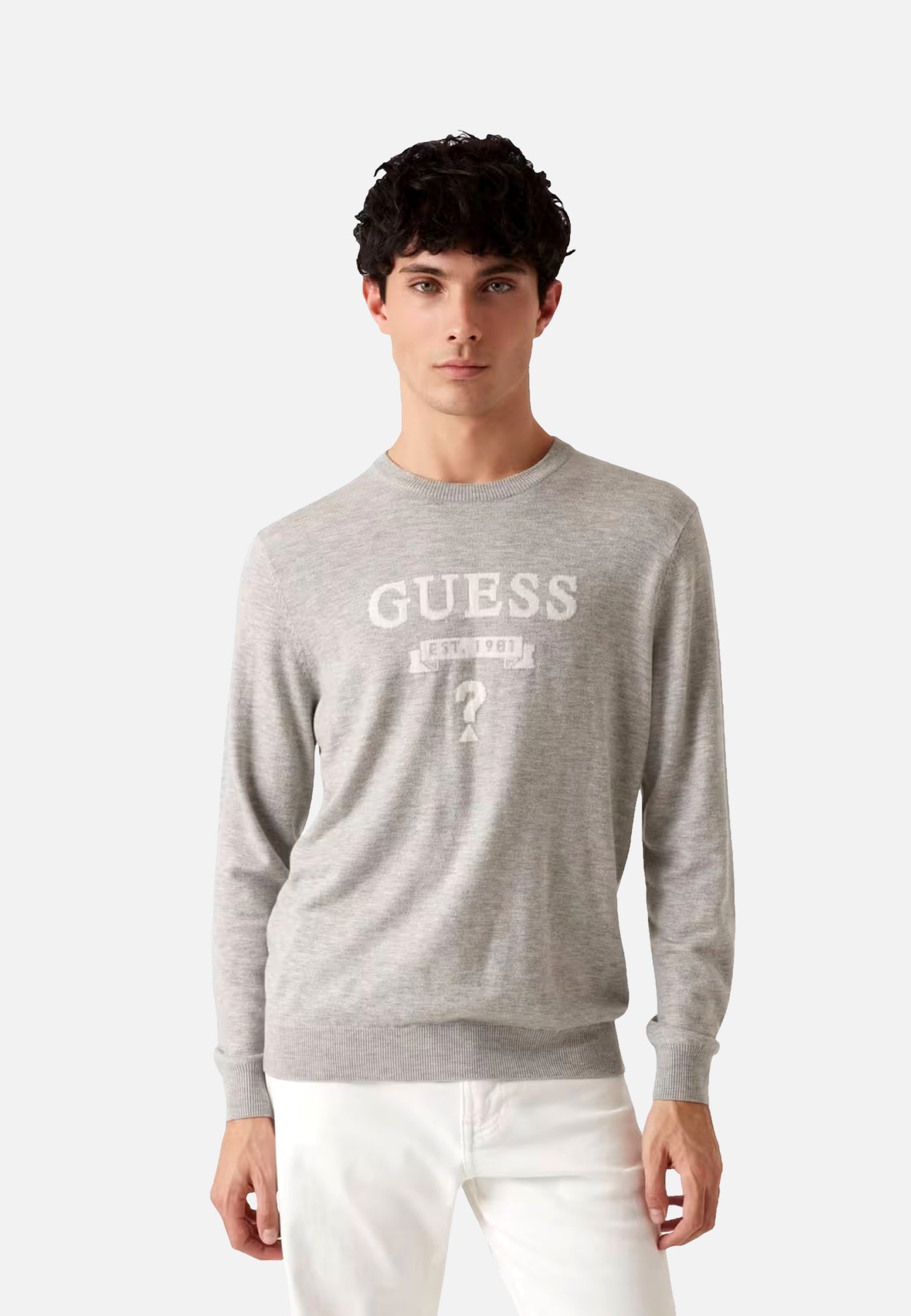 Guess Strickpullover R-Neck