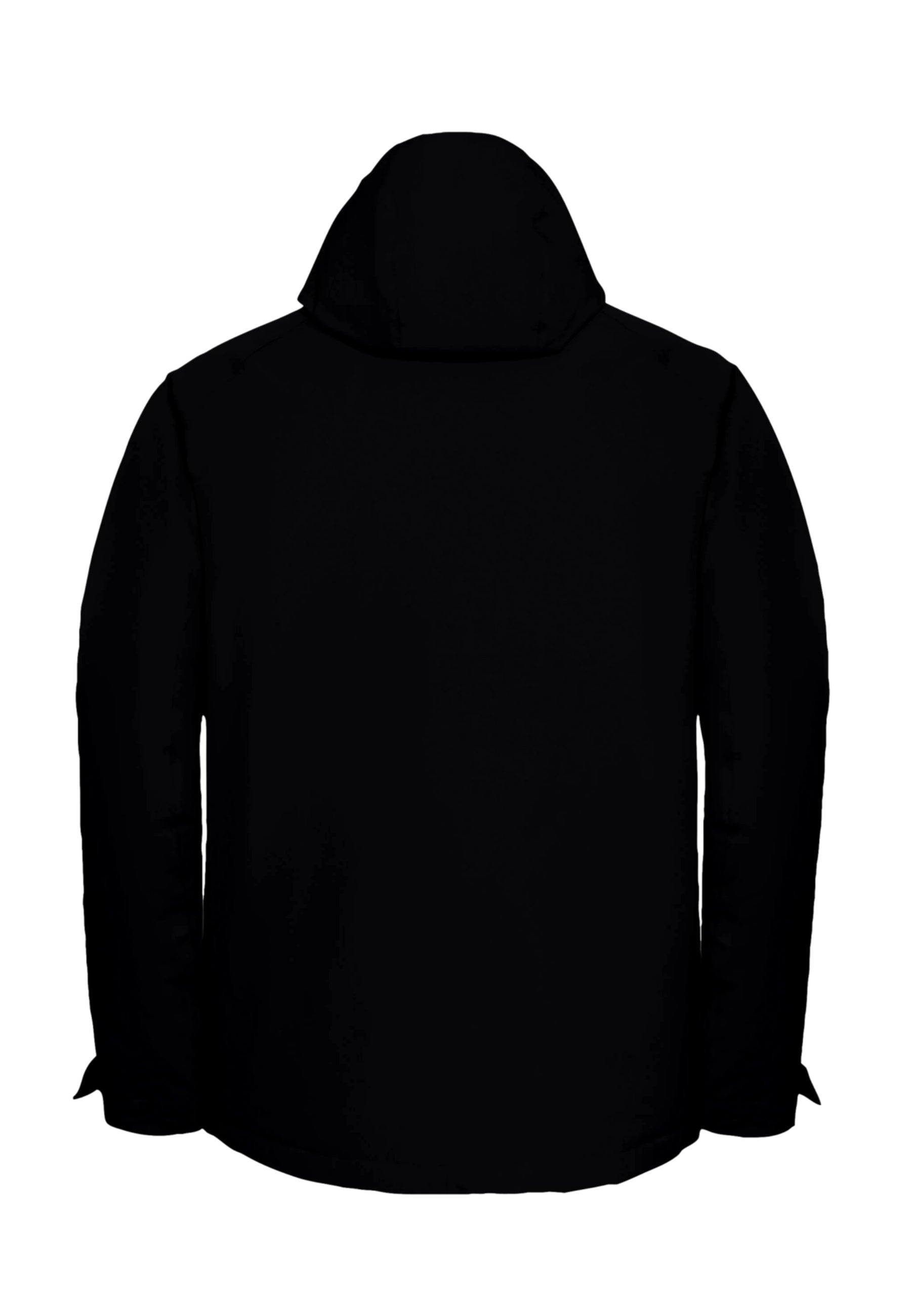 Jack Wolfskin ICECAPE Winterjacke