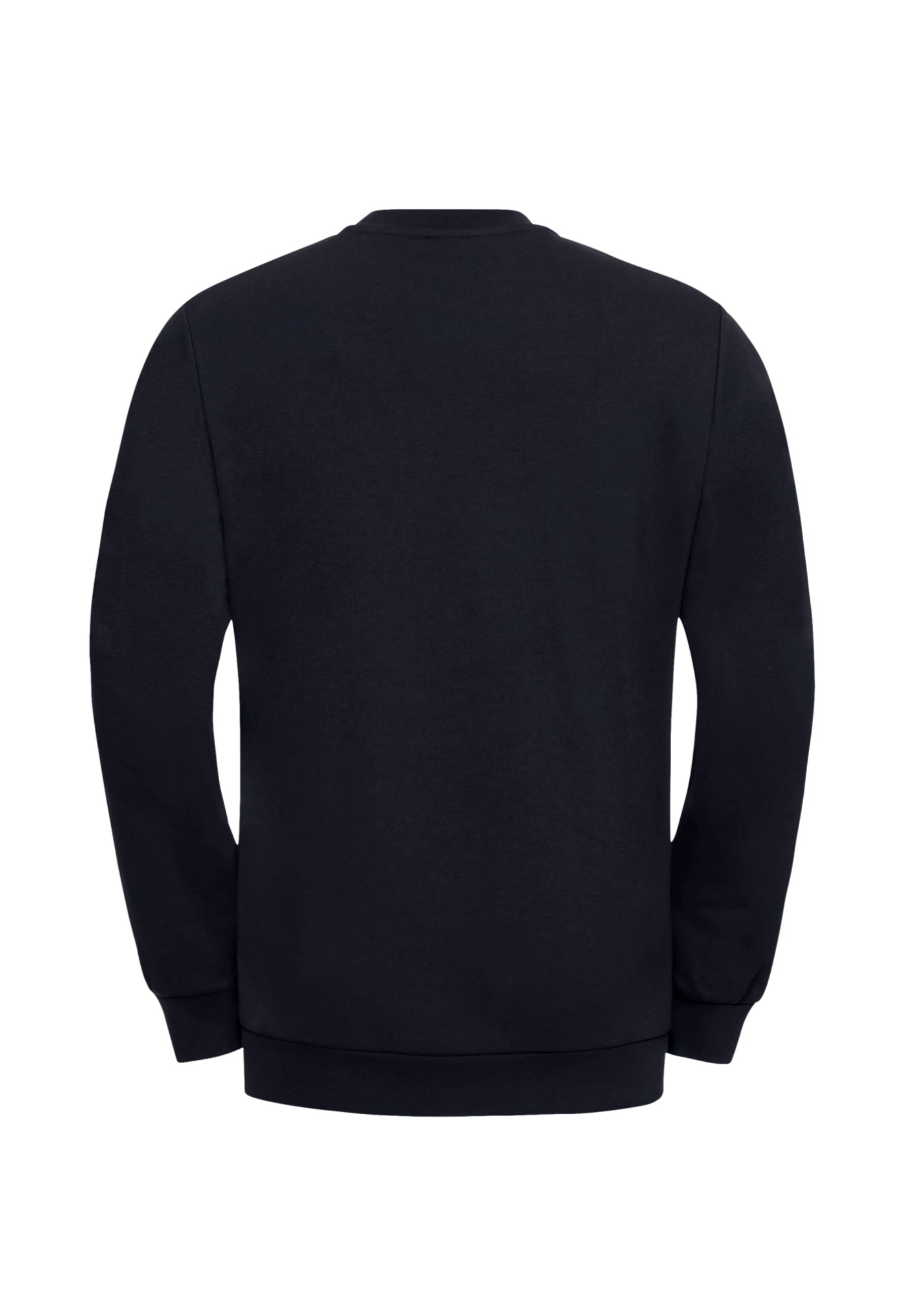 Jack Wolfskin ESSENTIAL Sweatshirt