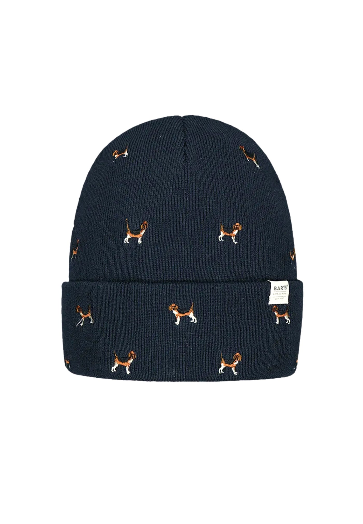Barts Vinson Beanie