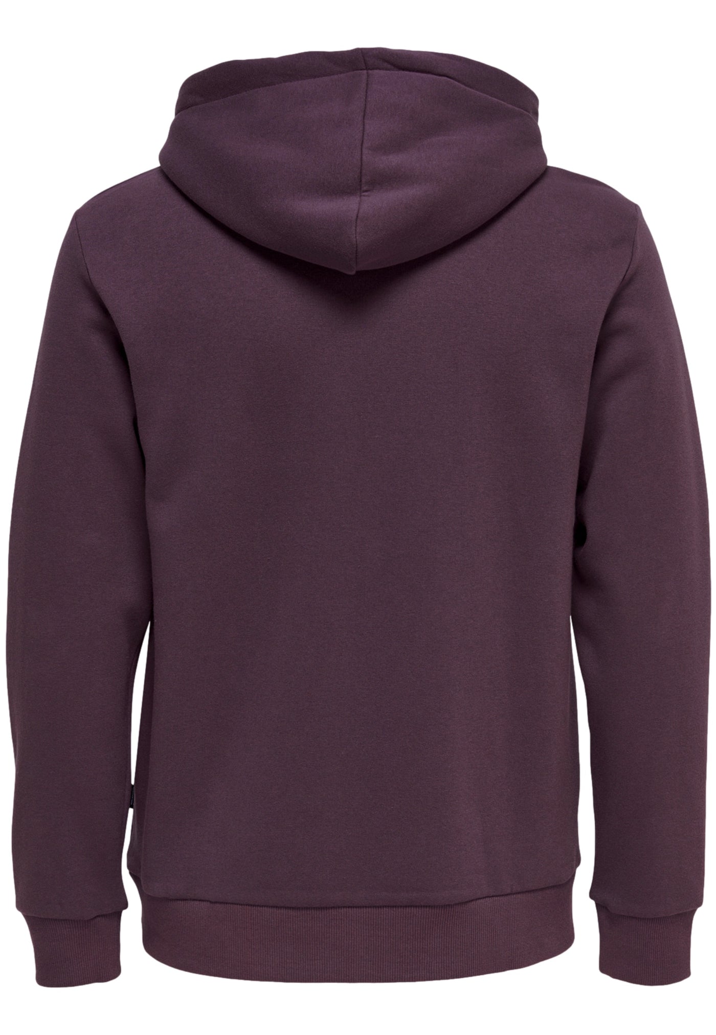 Only & Sons Ceres Hoodie