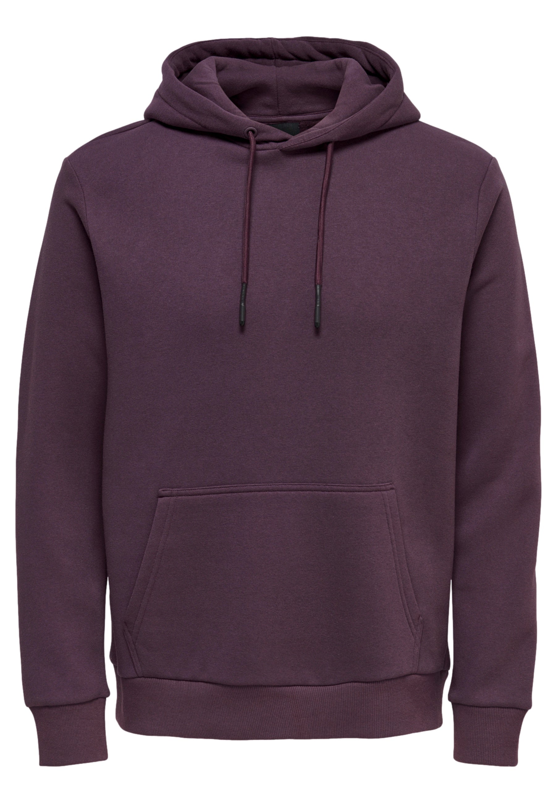 Only & Sons Ceres Hoodie