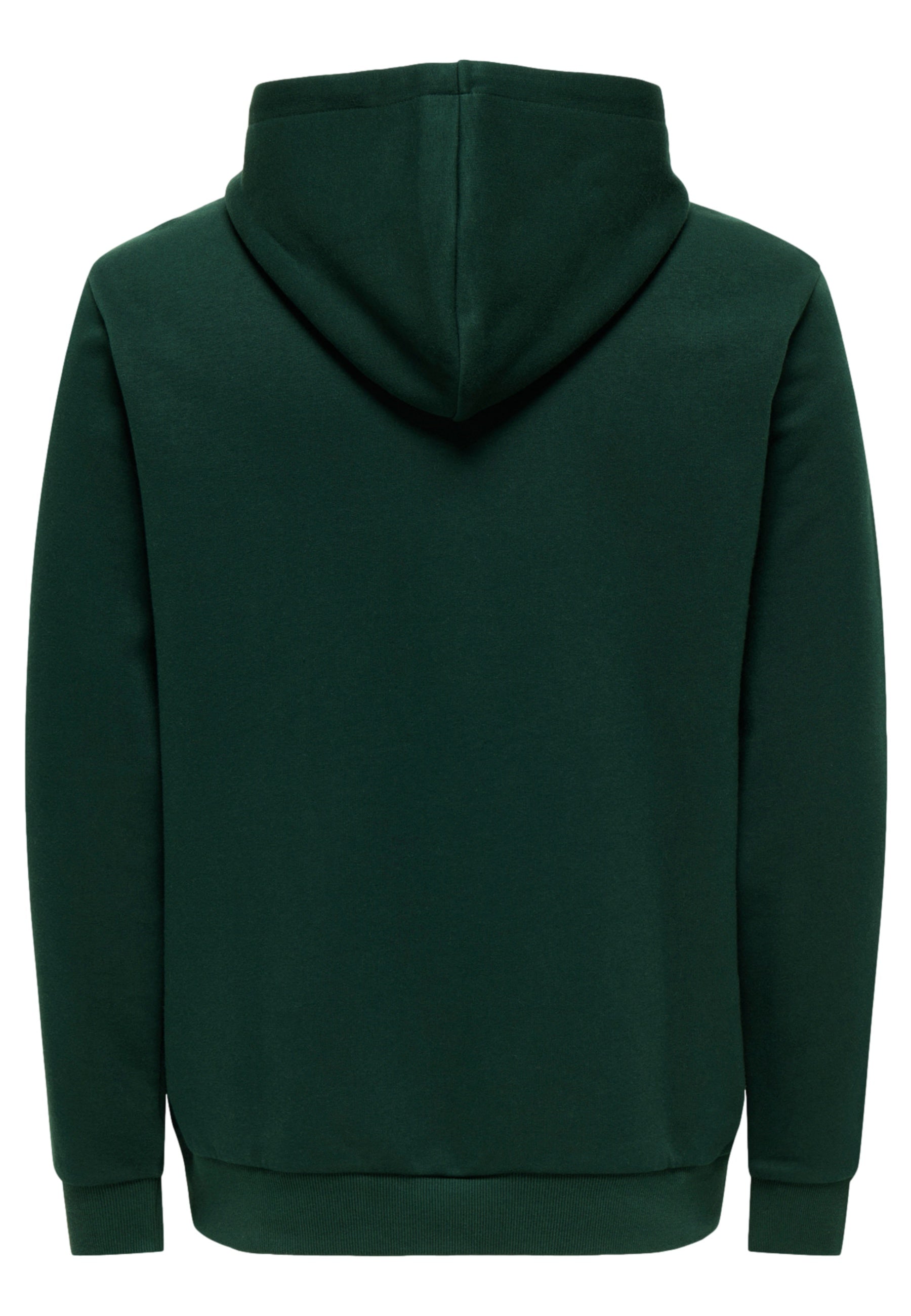 Only & Sons Ceres Hoodie
