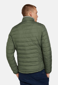 Tom Tailor Lightweight gesteppt