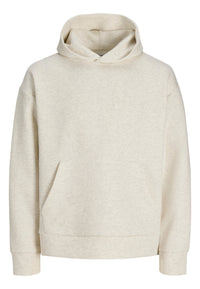 Jack & Jones Barron Hoodie