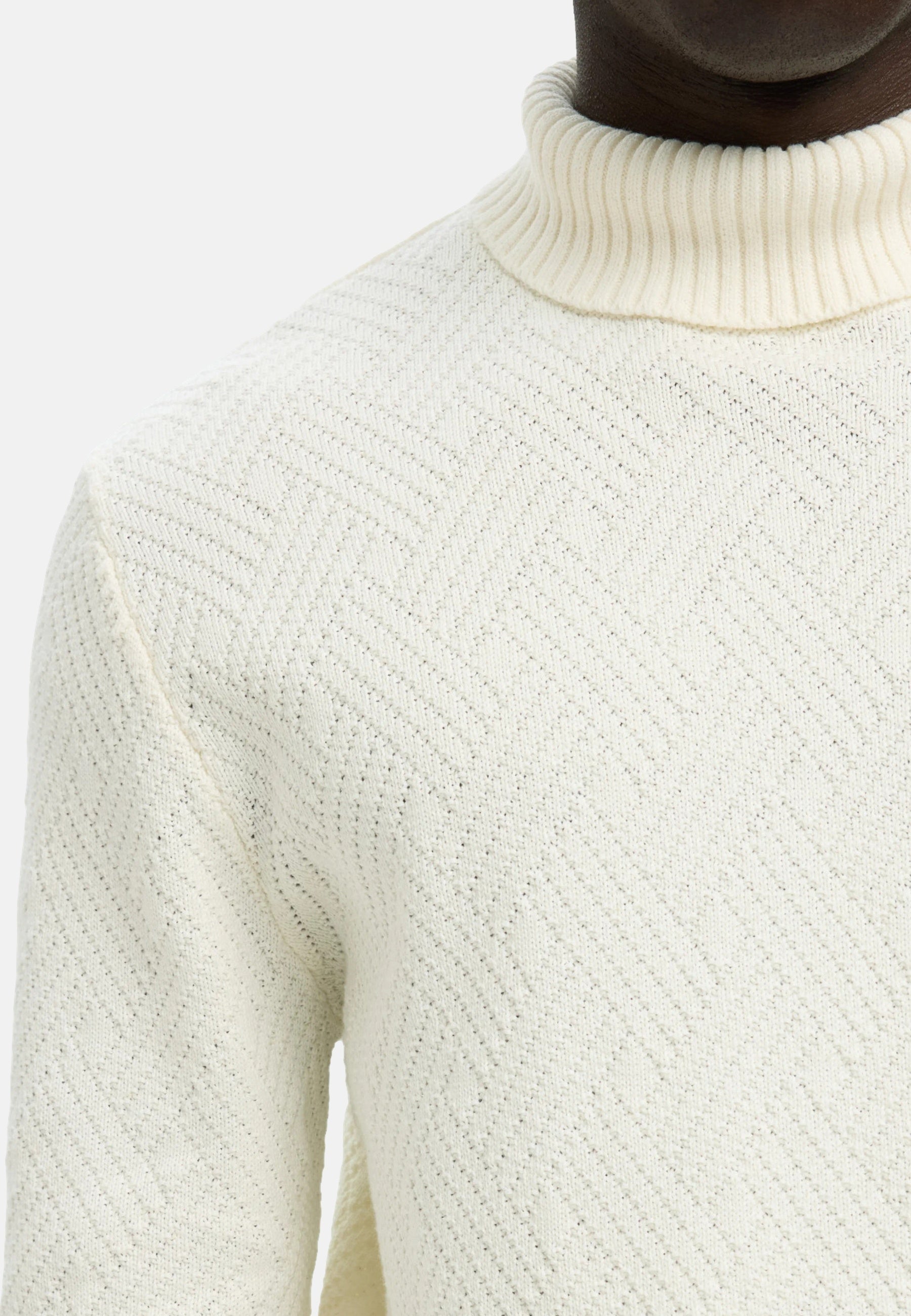 Selected Homme Trevor Rollkragenpullover