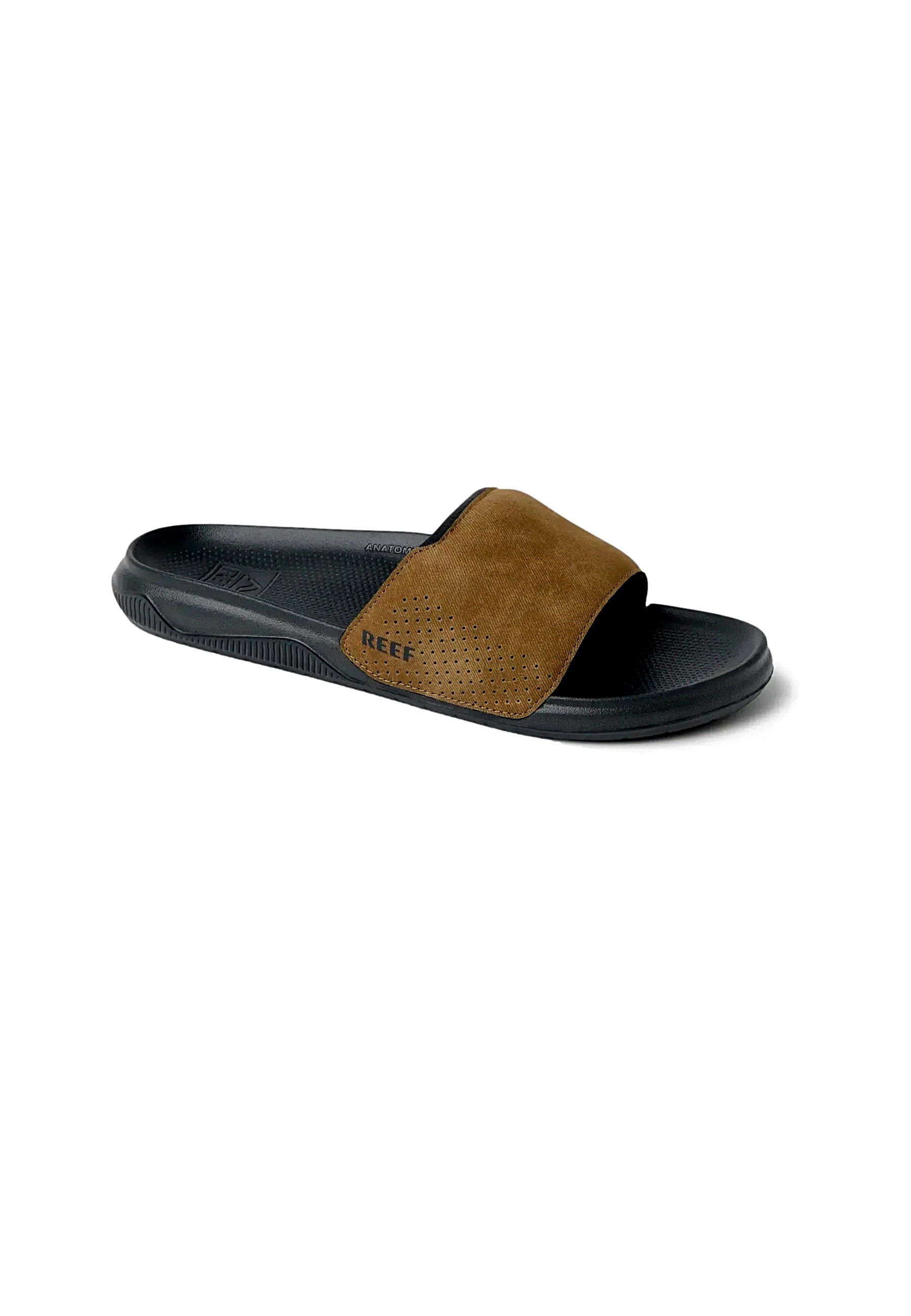 Reef TAILSLIDE