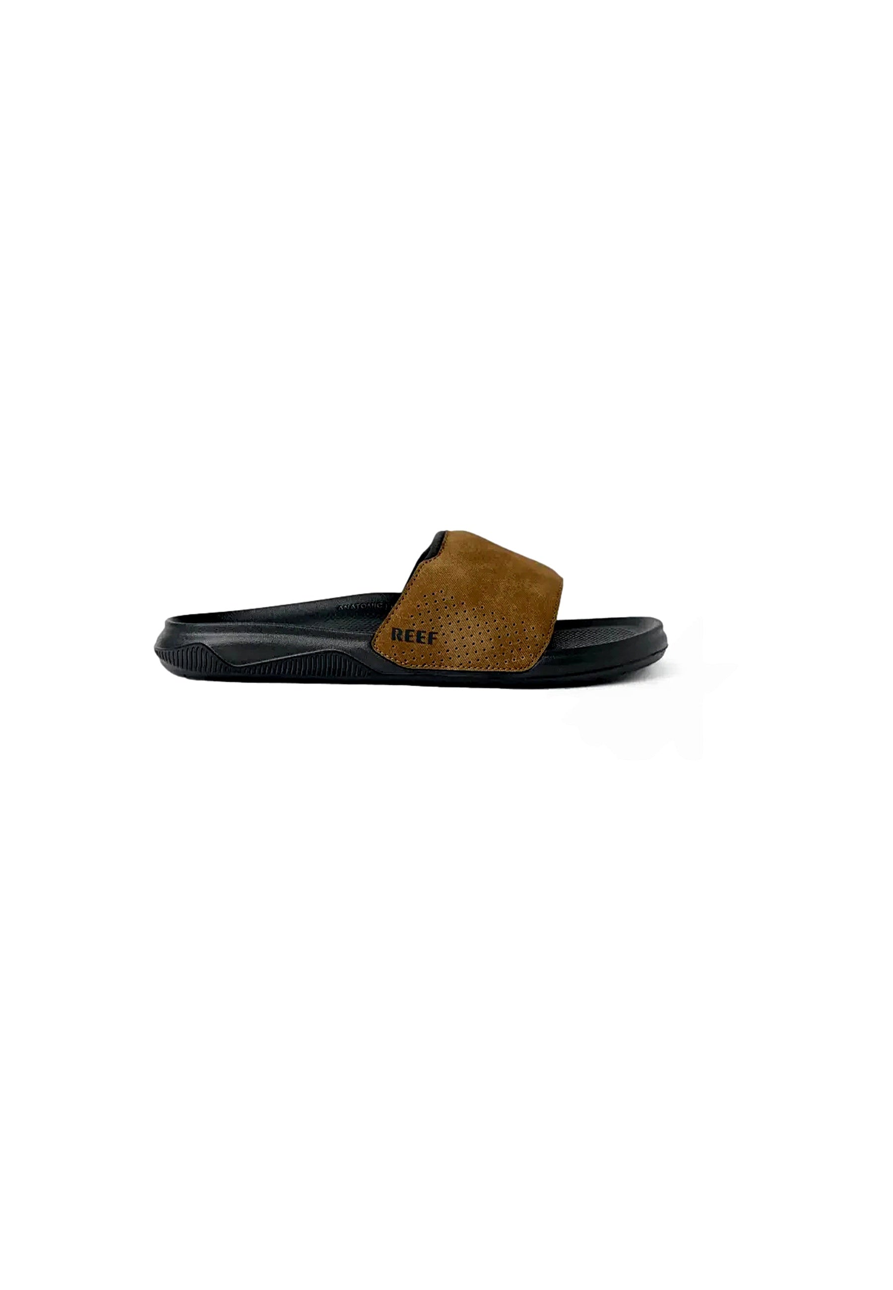 Reef TAILSLIDE