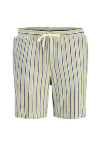 Jack & Jones Stjaden kurze Hose