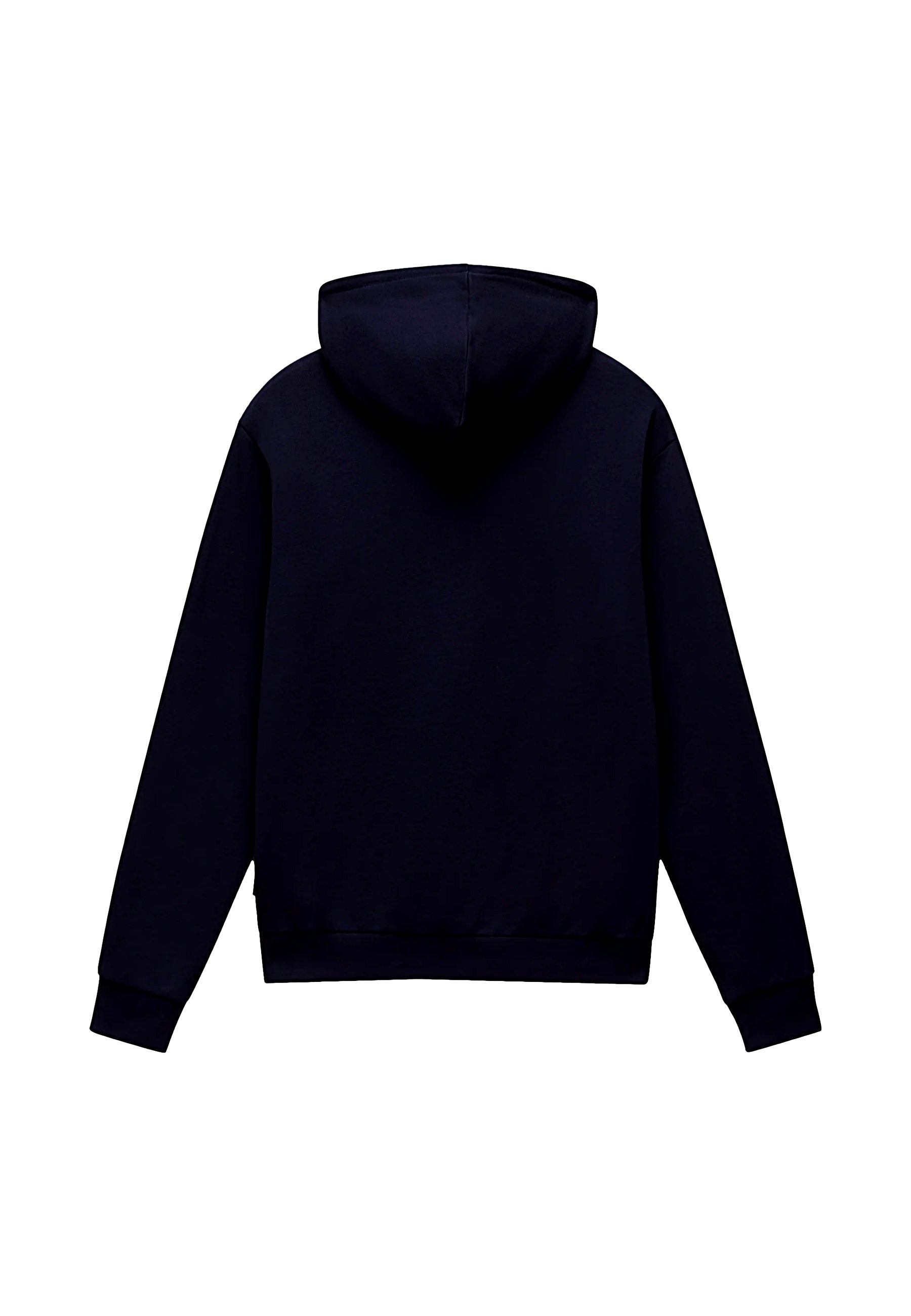 Napapijri Pullover mit Kapuze B-AYLMER