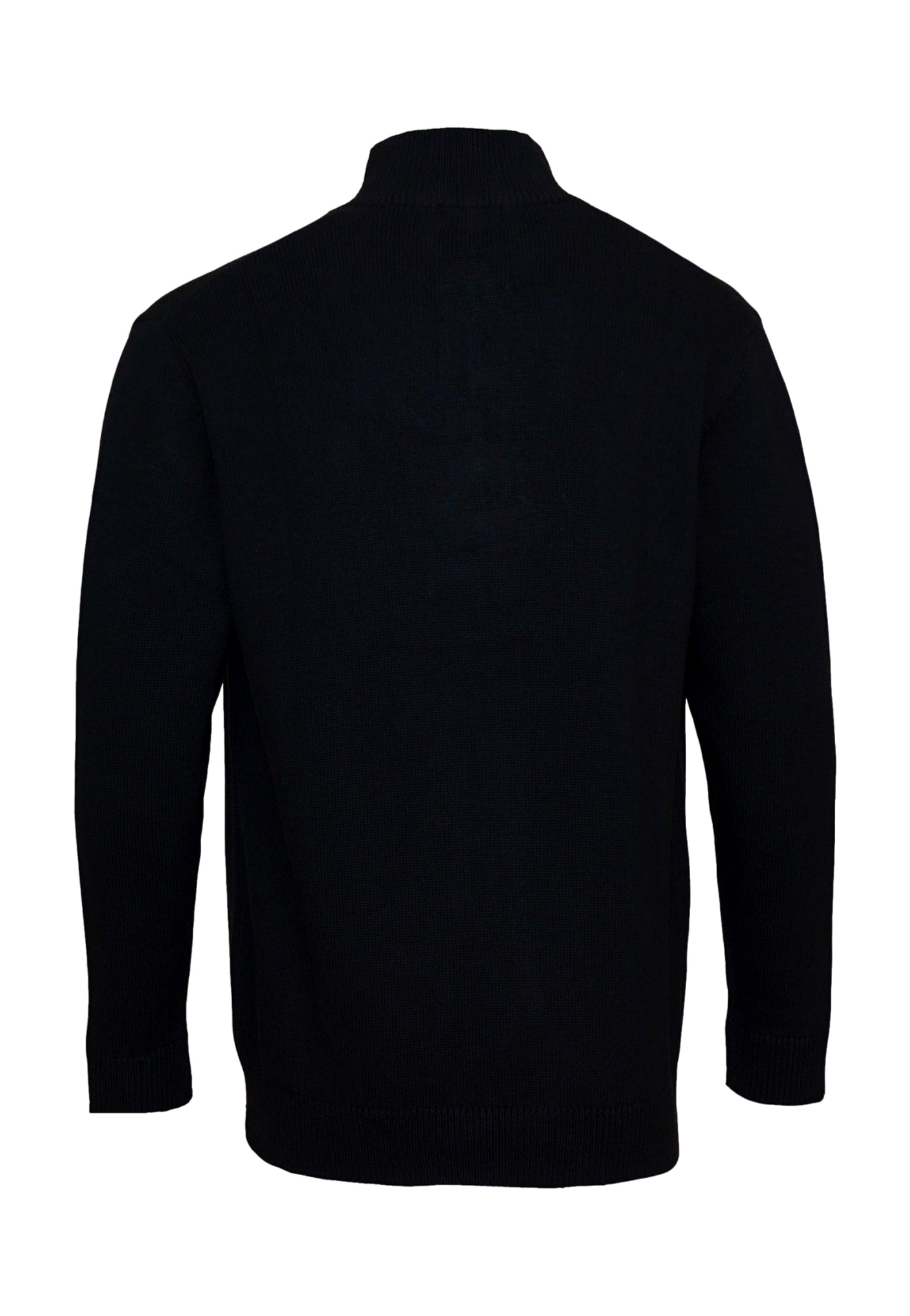 U.S. POLO Pullover Troyer