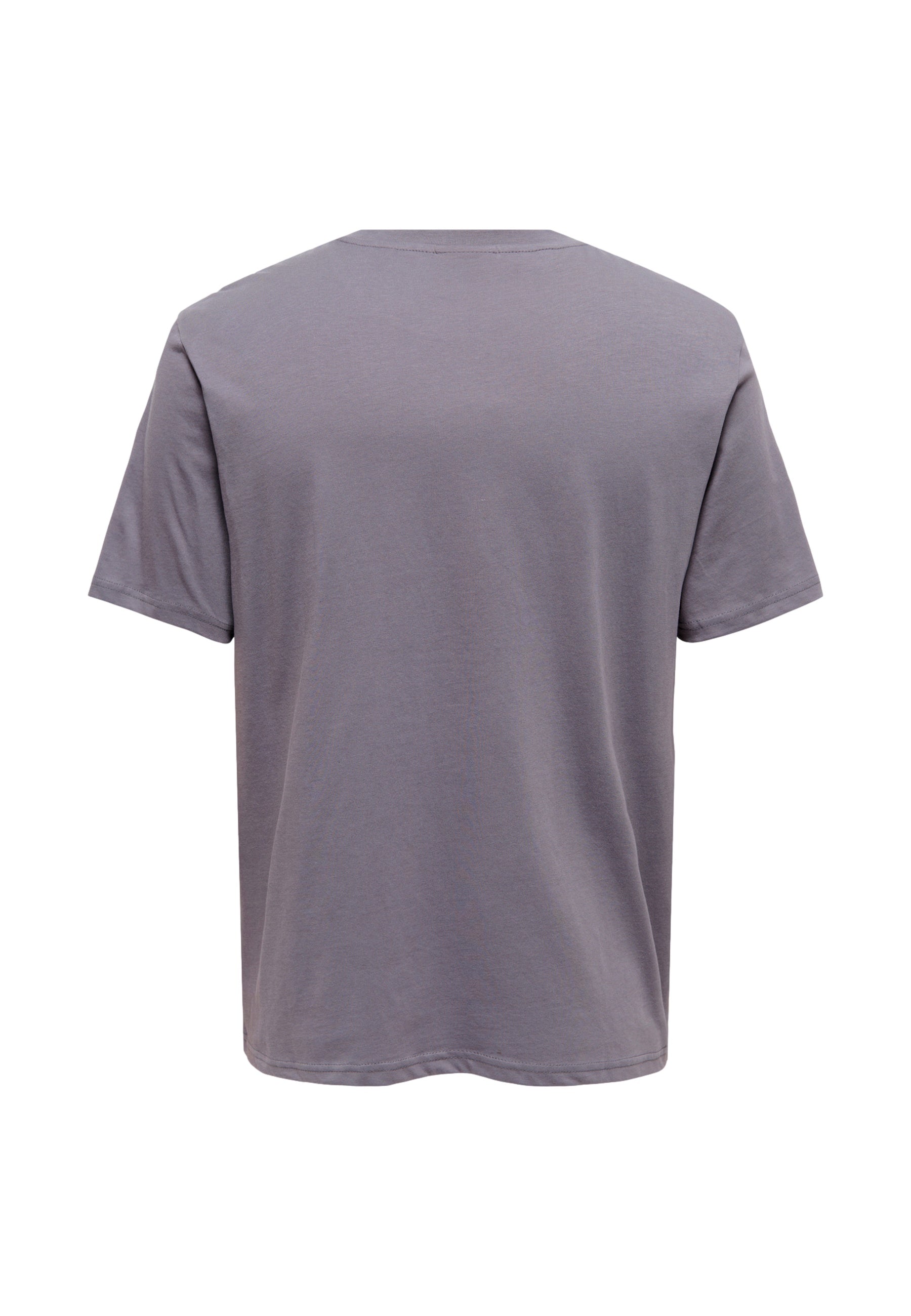 Only & Sons MASS PARISIEN Kurzarmshirt