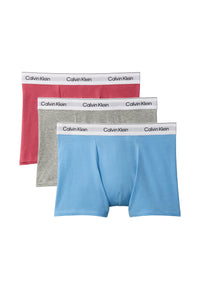 Calvin Klein Unterhosen Dreierpack