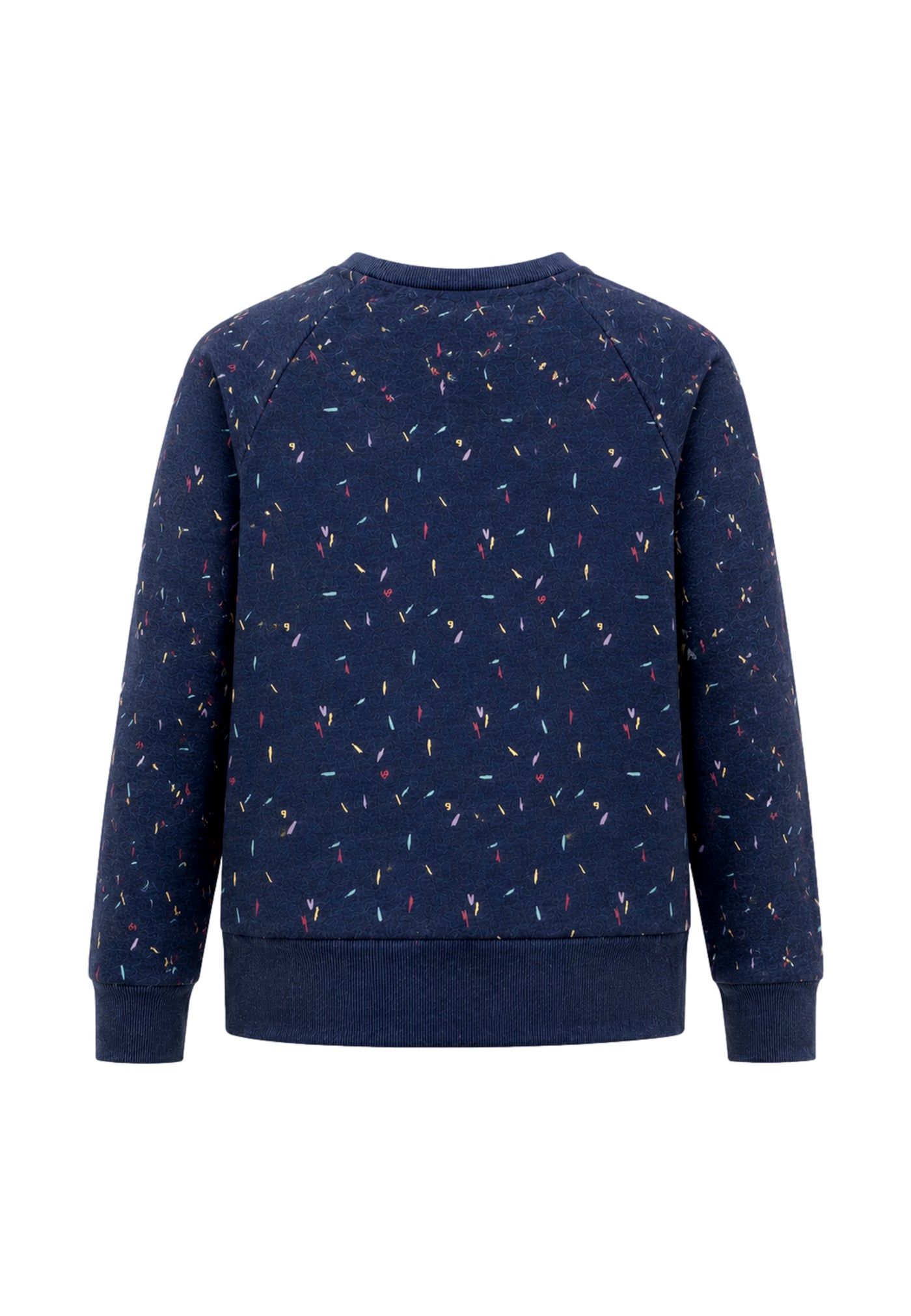 Ragwear JOHANKA ORGANIC Sweatshirt