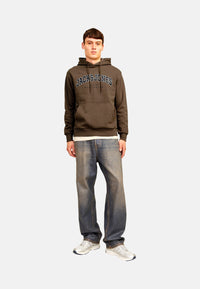 Jack & Jones JJECALEB VARSITY Hoodie