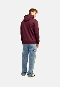 Jack & Jones JJECALEB VARSITY Hoodie