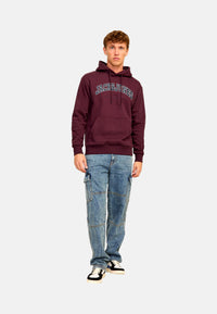 Jack & Jones JJECALEB VARSITY Hoodie