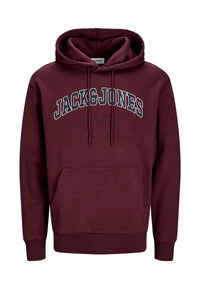 Jack & Jones JJECALEB VARSITY Hoodie