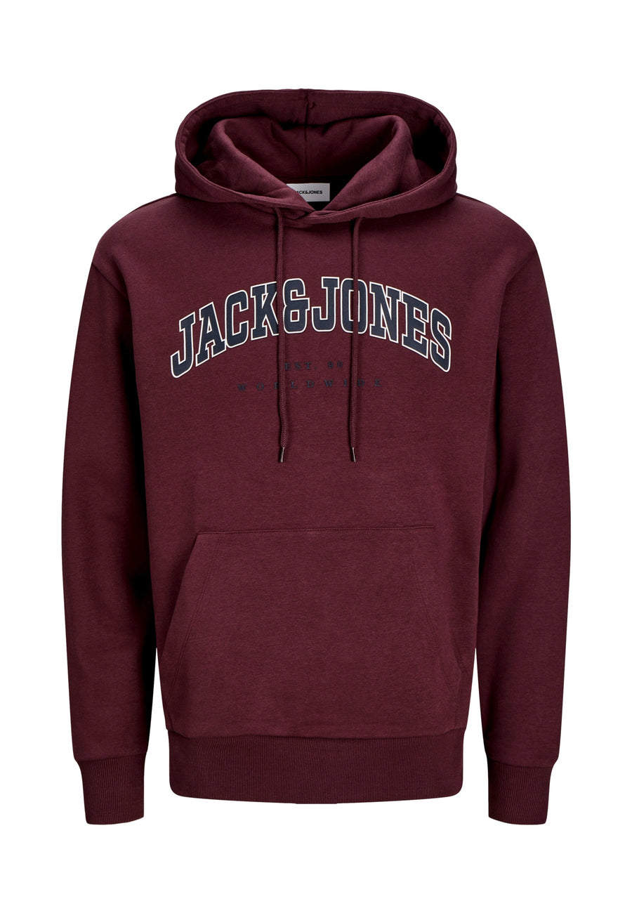 Jack & Jones JJECALEB VARSITY Hoodie