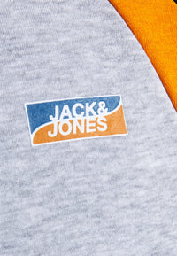 Jack & Jones JCOFLY Hoodie