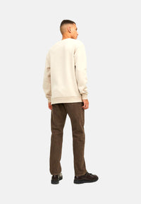 Jack & Jones JJEBRADLEY Pullover
