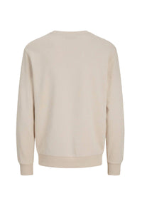 Jack & Jones JJEBRADLEY Pullover