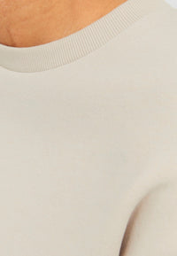 Jack & Jones JJEBRADLEY Pullover