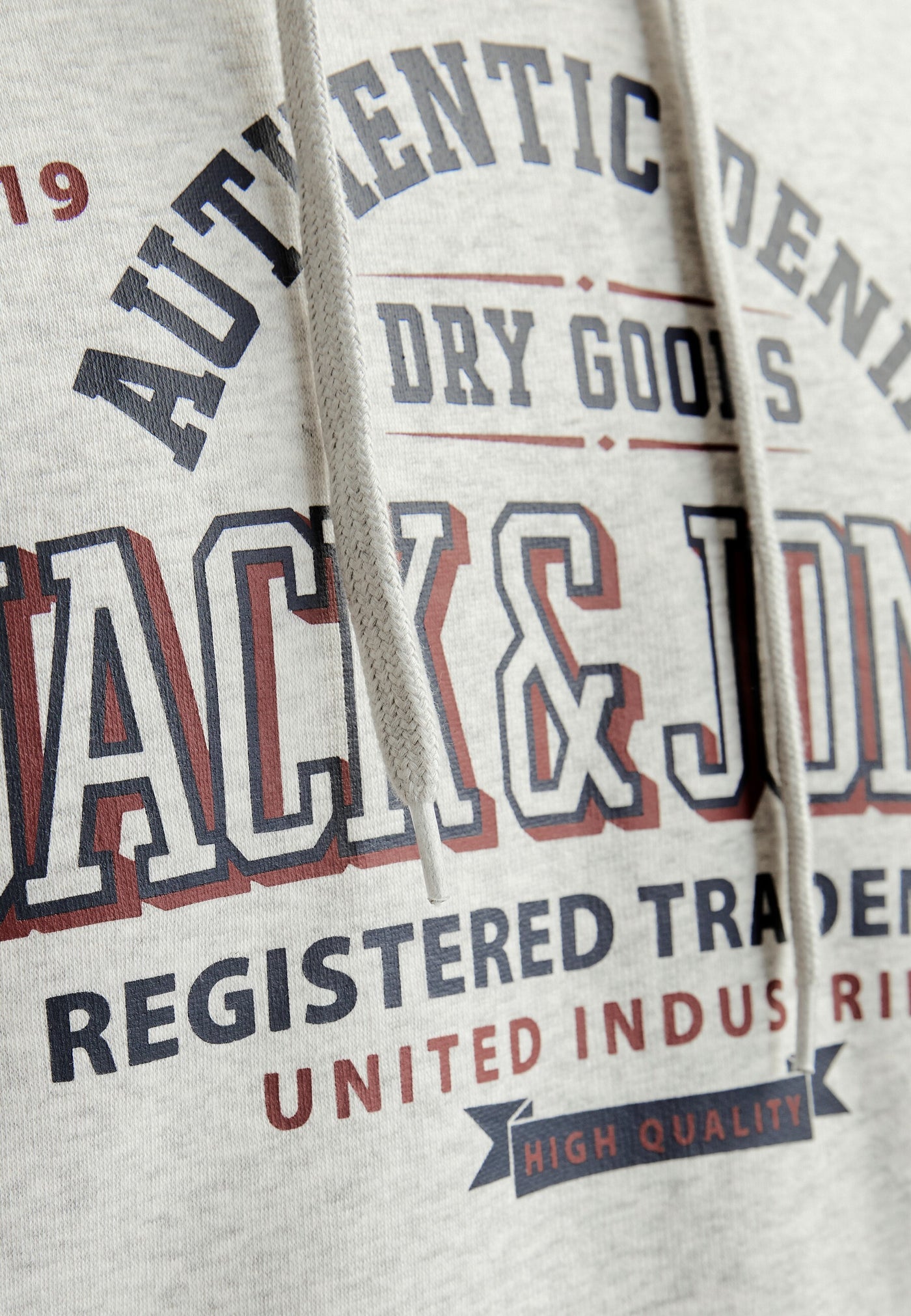 Jack & Jones JJELOGO Hoodie