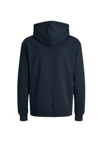 Jack & Jones JJEBRADLEY SWEAT Hoodie