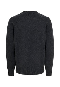 Only & Sons Ejnar Strickpullover R-Neck