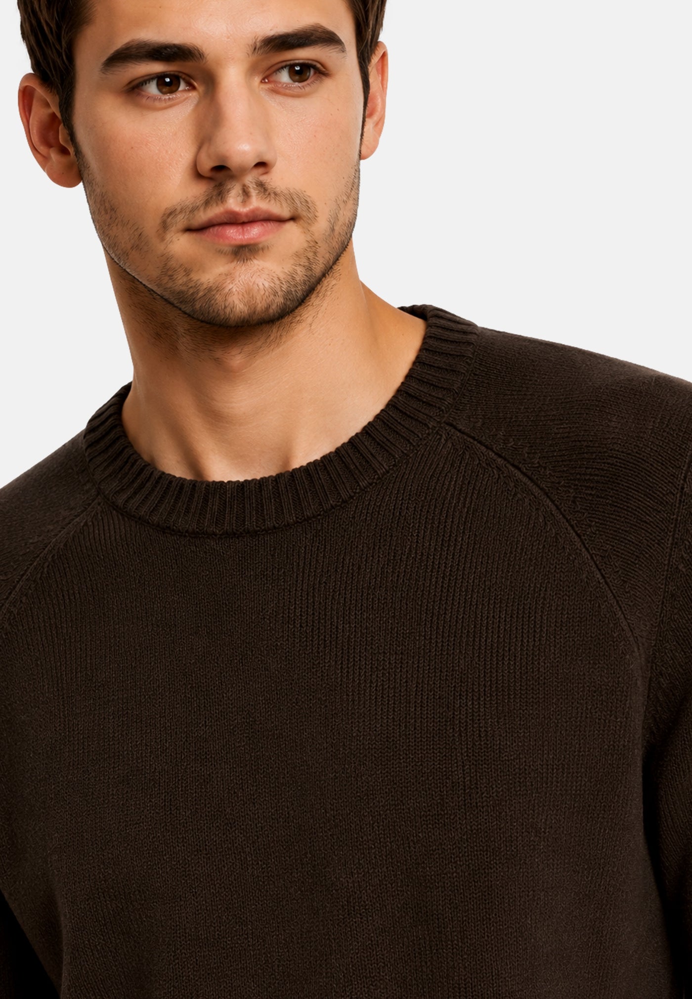 Only & Sons Ejnar Strickpullover R-Neck