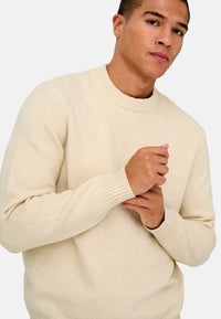Only & Sons JAMES Strickpullover R-Neck