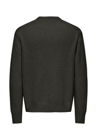 Only & Sons JAMES Strickpullover R-Neck
