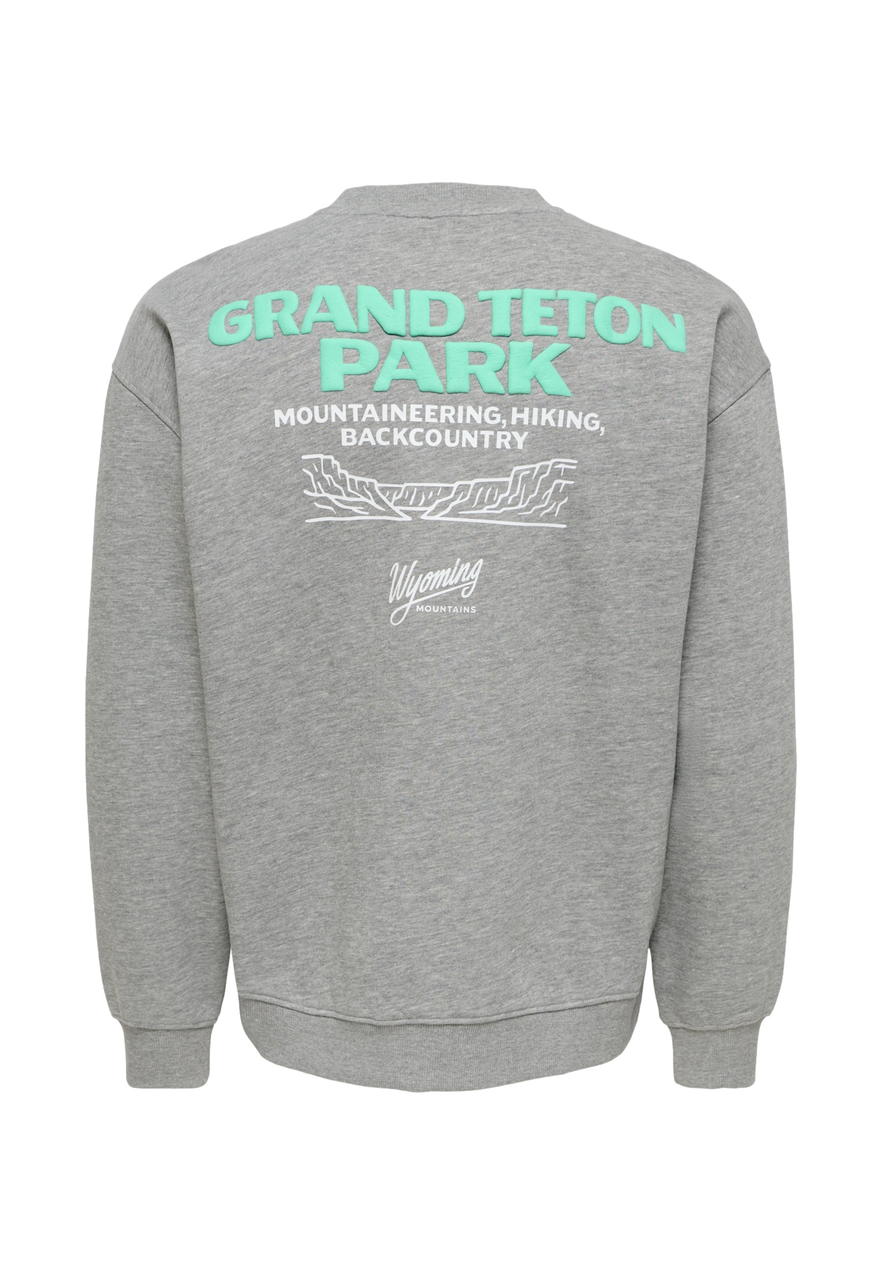 Only & Sons Bejmo Morits Pullover ohne Kapuze