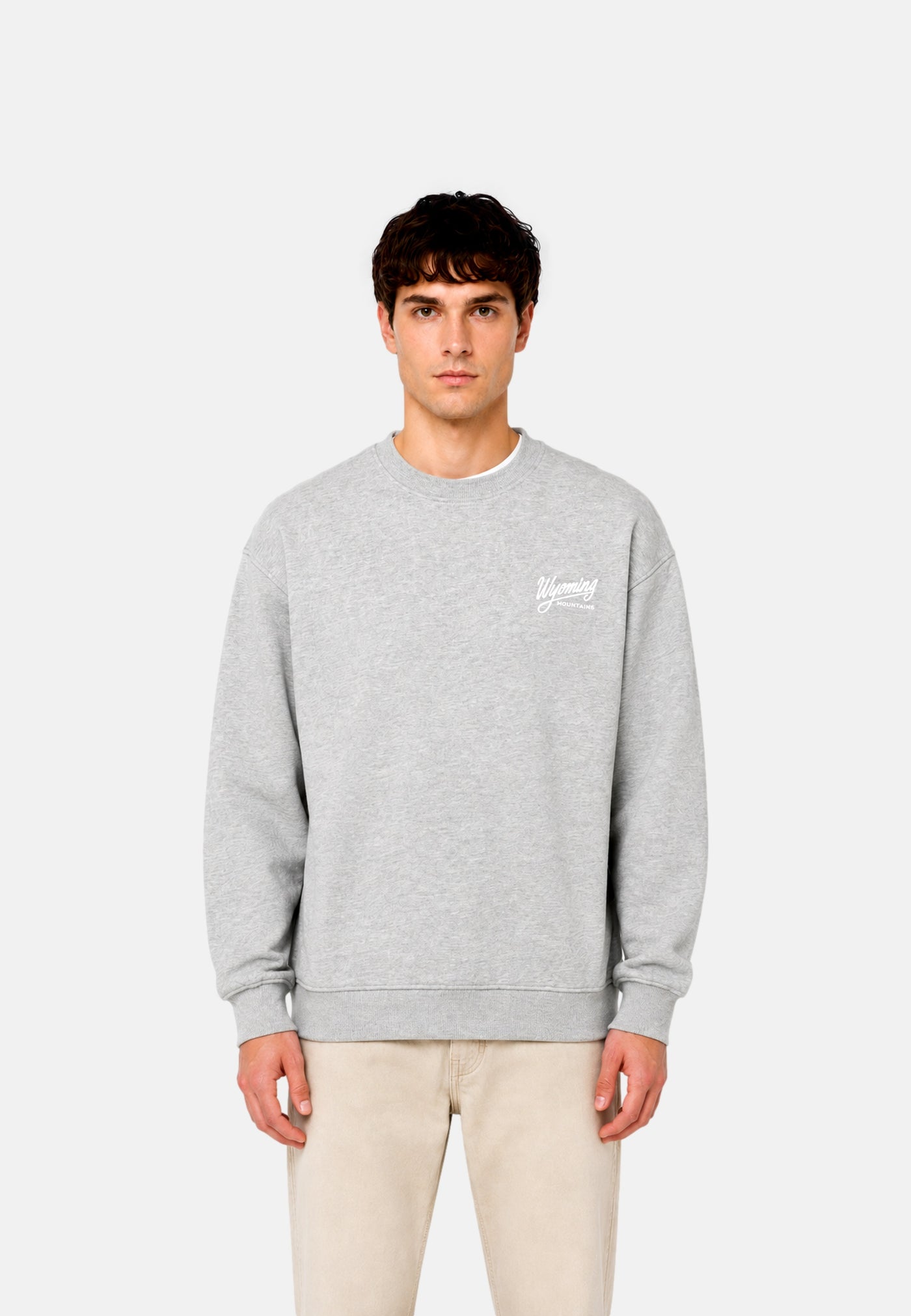 Only & Sons Bejmo Morits Pullover ohne Kapuze