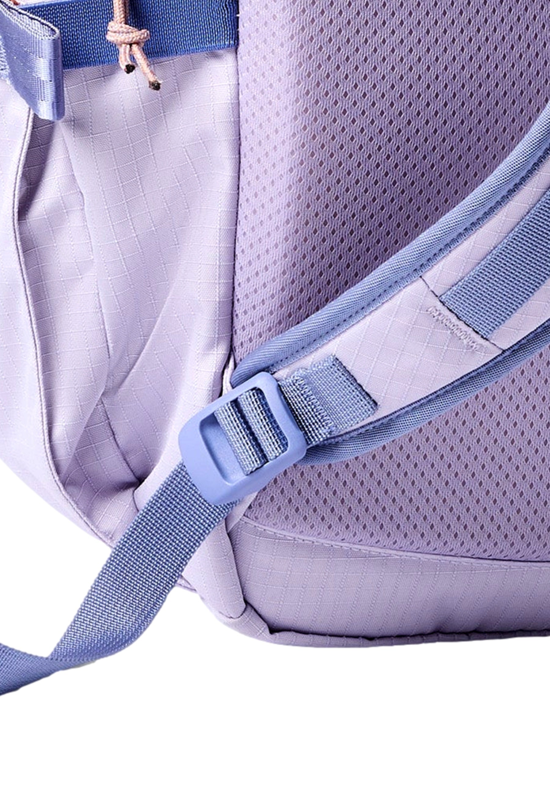Cotopaxi Consuelo 22L Daypack