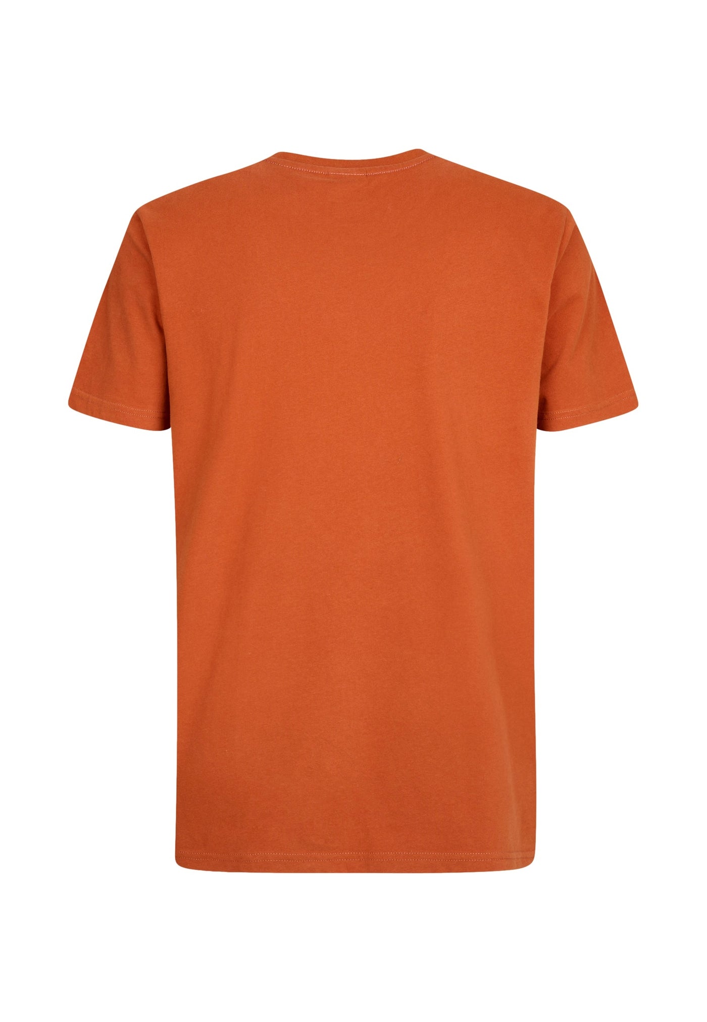 Petrol Industries Shortsleeve mit Print