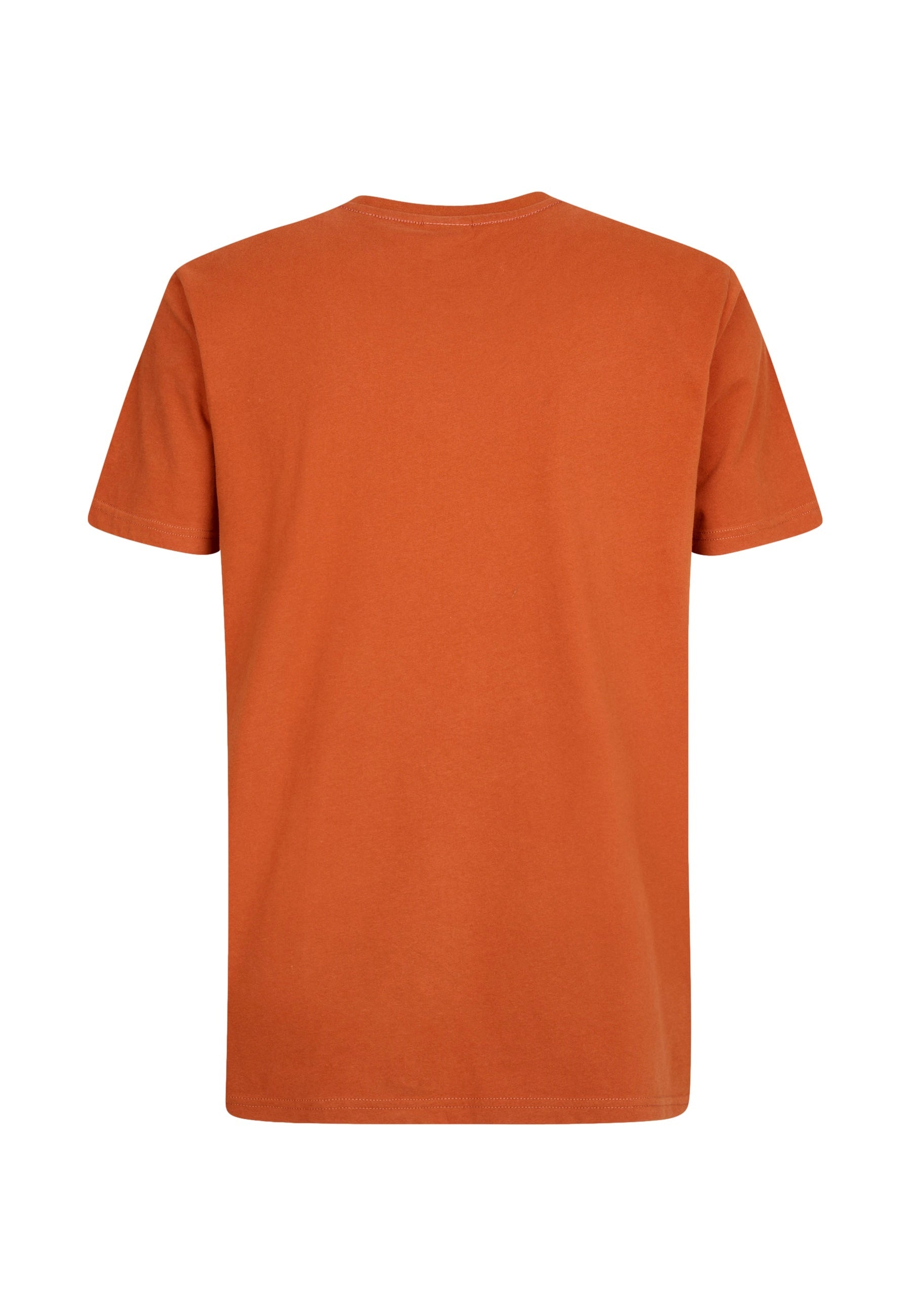 Petrol Industries Shortsleeve mit Print