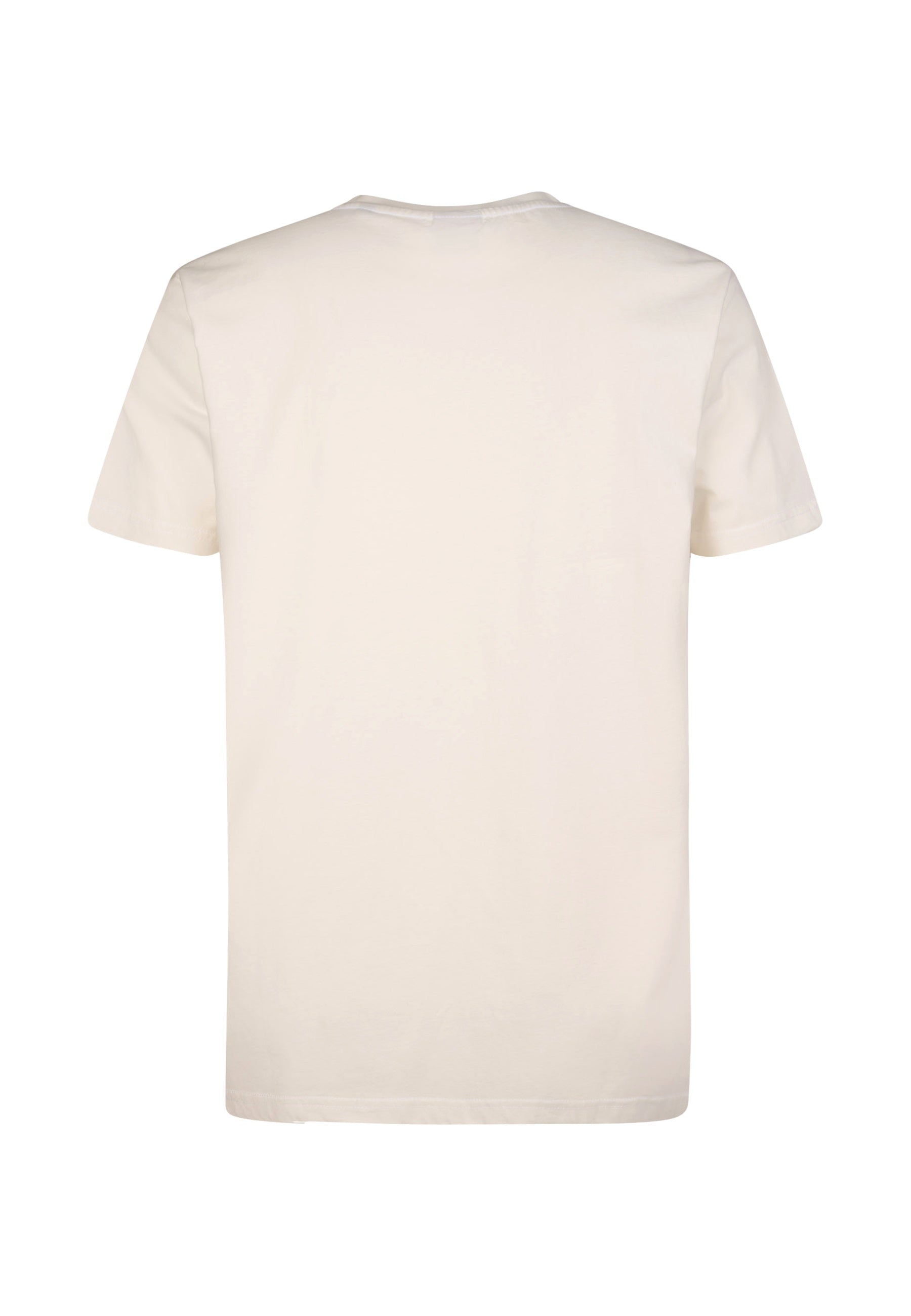 Petrol Industries Shortsleeve mit Print