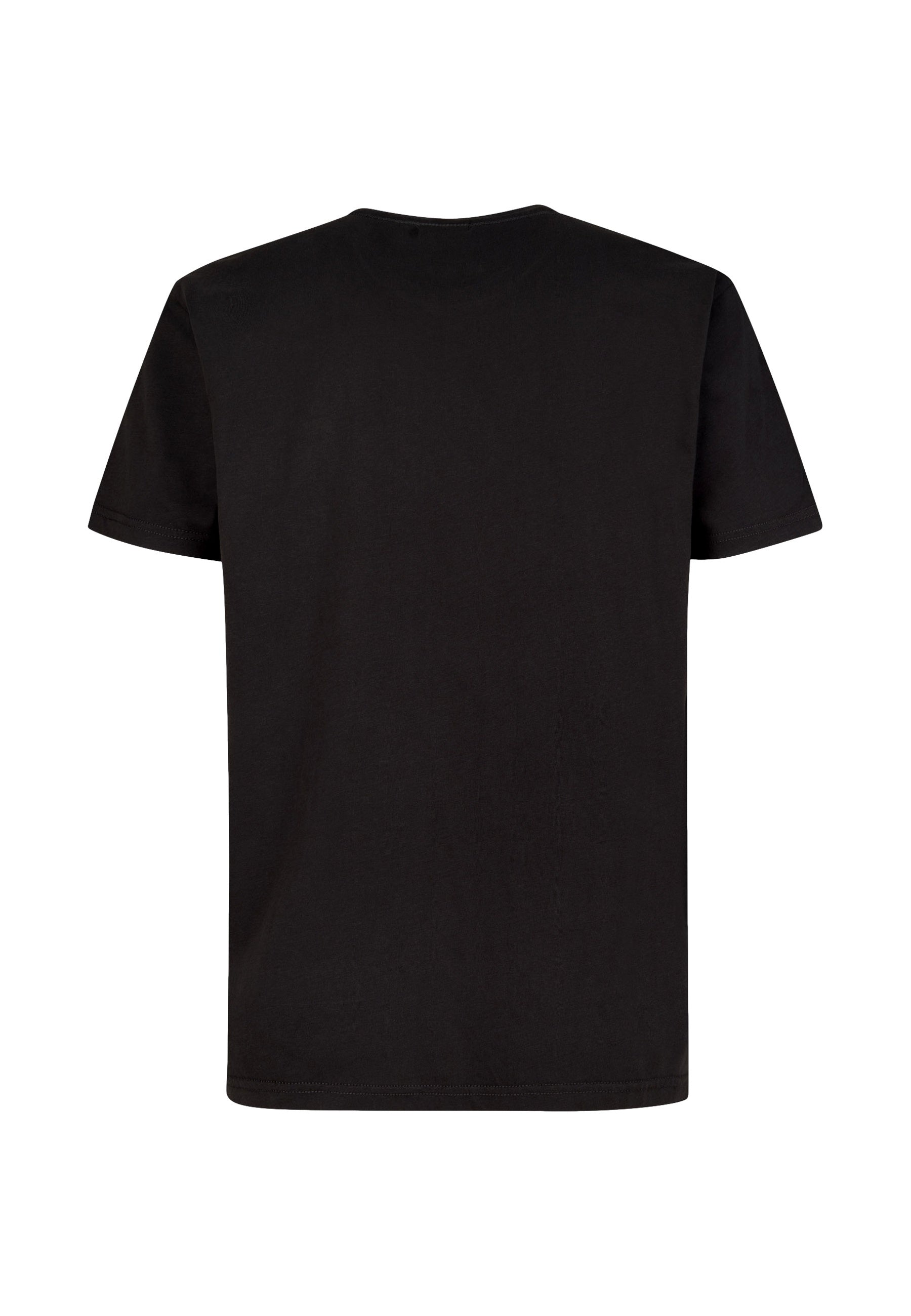 Petrol Industries Shortsleeve mit Print