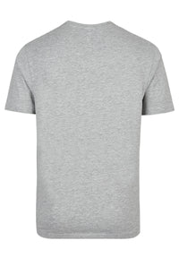 Daniel Hechter T-Shirts im 2 Pack mit Rundhals-Ausschnitt