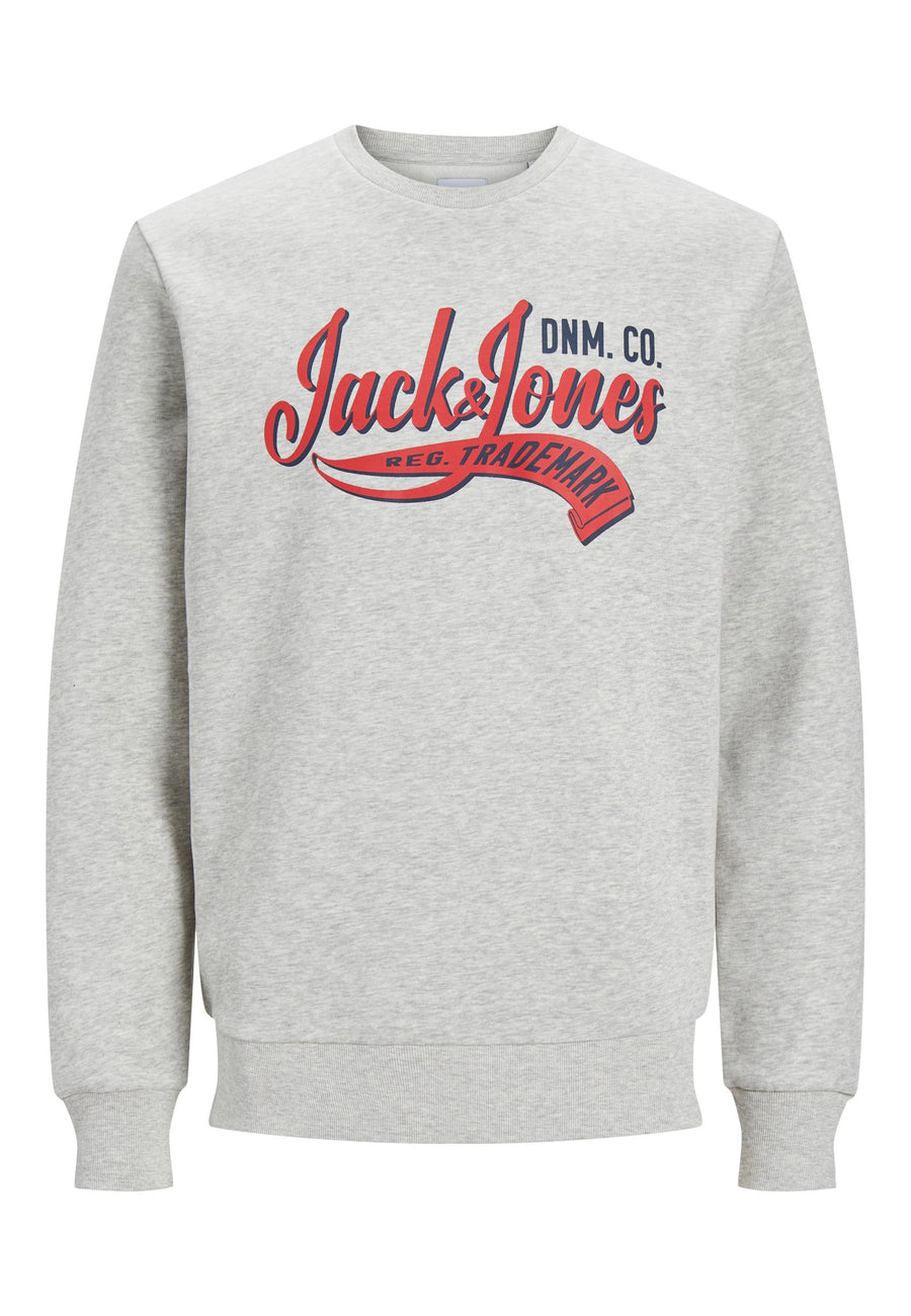 Jack & Jones Logo 2 Col SS24 Pullover ohne Kapuze