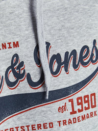 Jack & Jones Logo 2 Col Kapuzensweatshirt