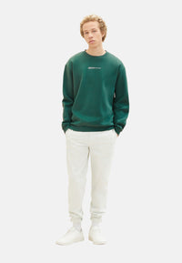 Tom Tailor Pullover ohne Kapuze mit kleinem Logo-Print