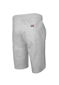 U.S. POLO Sweatshorts Pants Basic Freizeitshorts