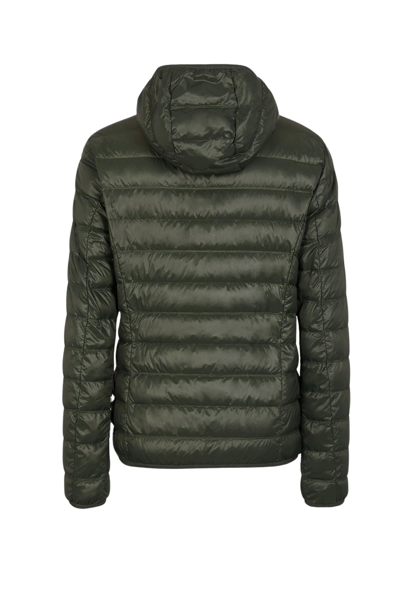 EA7 Emporio Armani Core Identity Steppjacke mit Kapuzenkragen