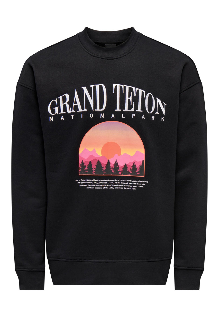 Only & Sons Boston Pullover ohne Kapuze