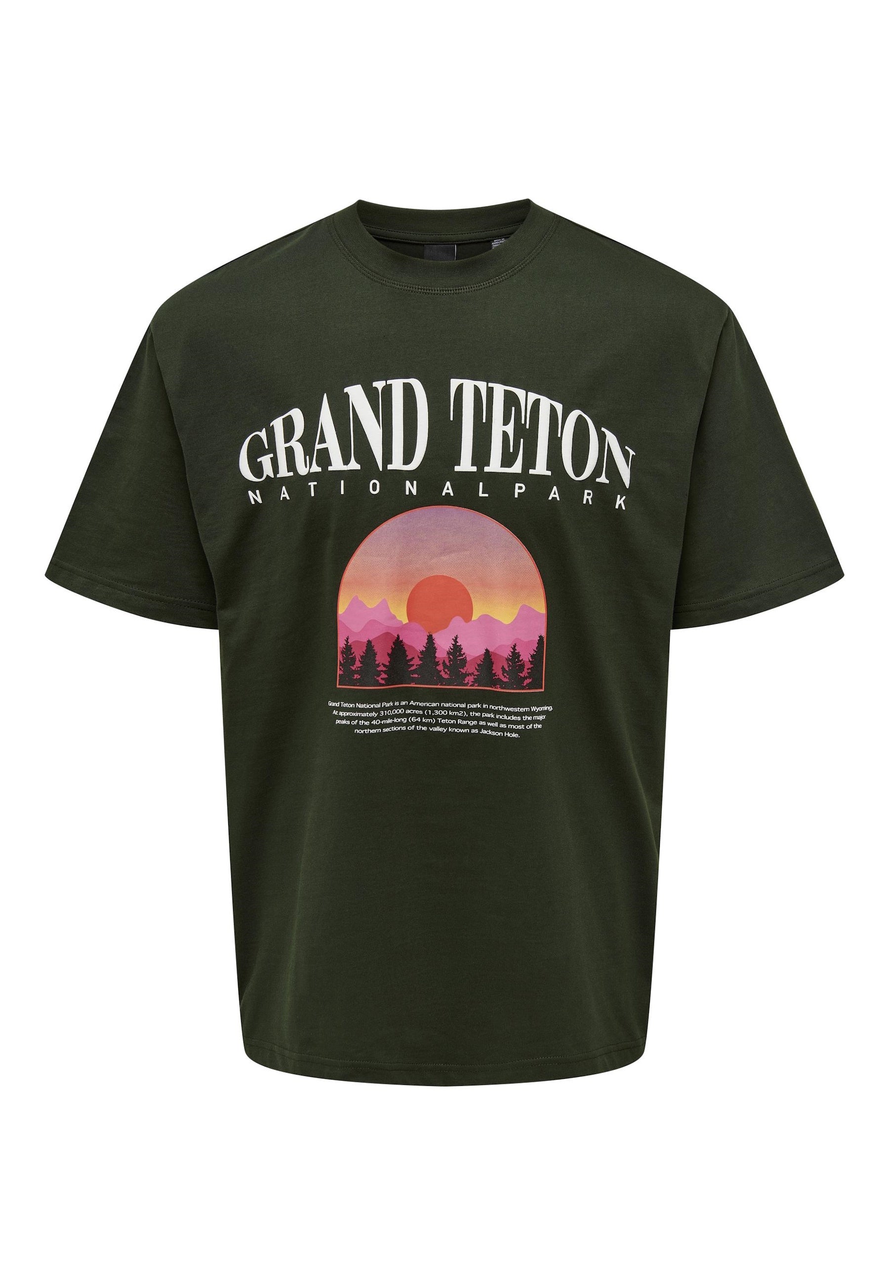 Only & Sons Boston Kurzarmshirt mit Frontprint Relaxed Fit