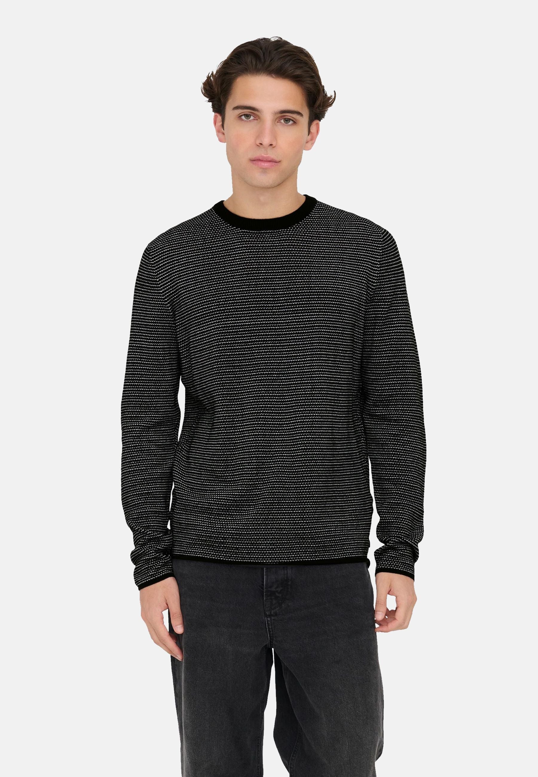 Only & Sons Niguel Pullover R-Neck